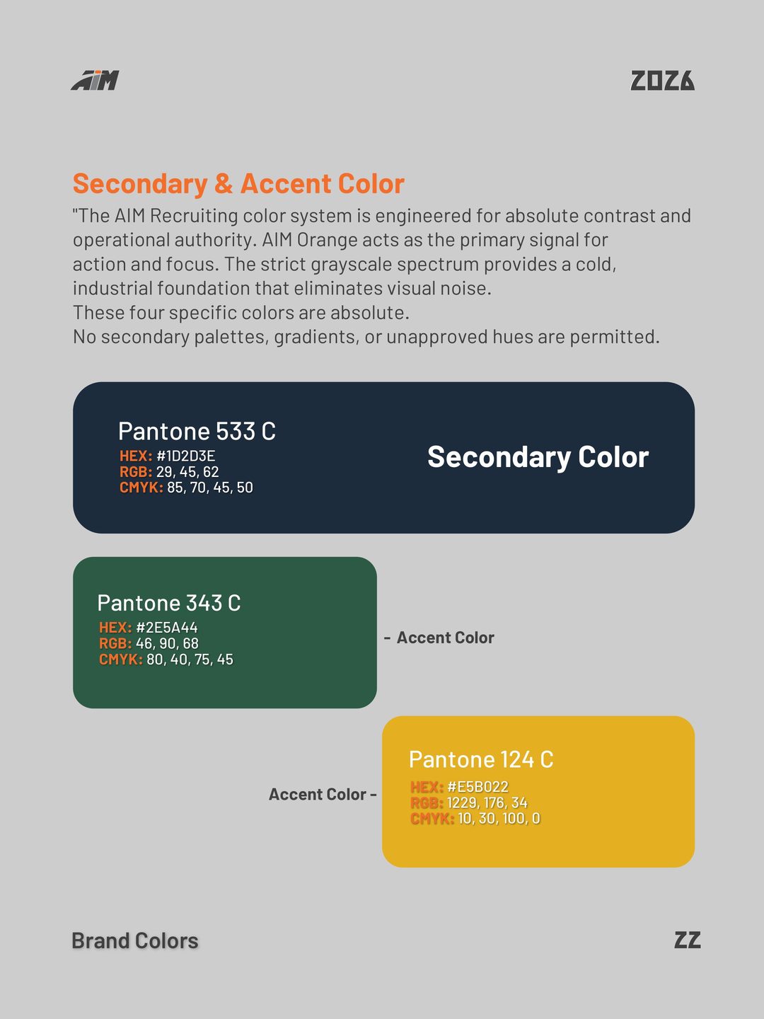 Secondary i accent colors brand book strana